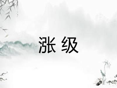 涨级