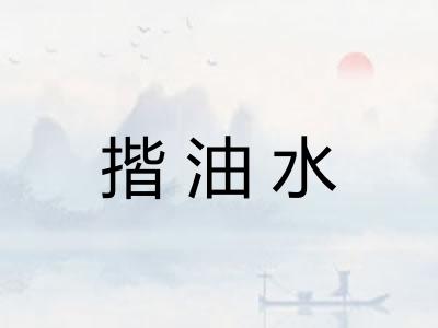 揩油水