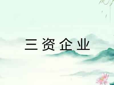 三资企业