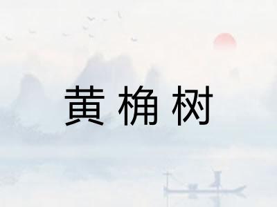 黄桷树