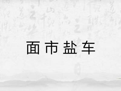 面市盐车