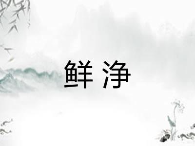 鲜浄