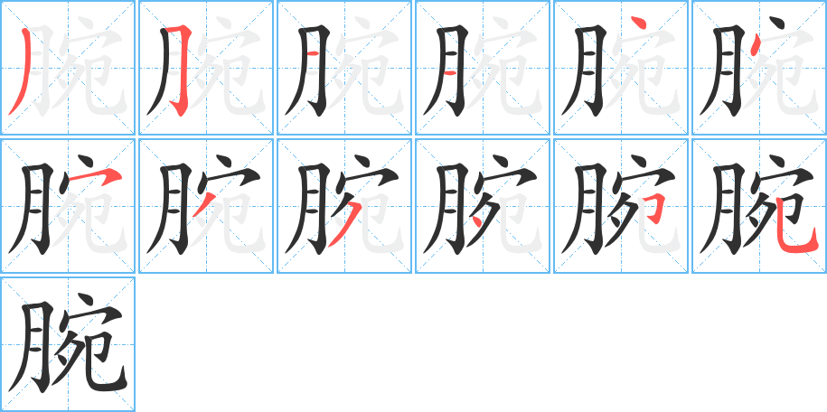 腕的笔顺分步演示图